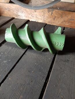 Schnecke Hassia - Büdingen