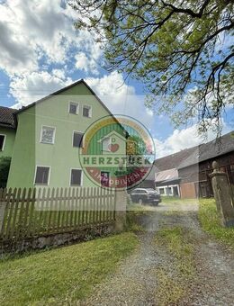 Ein Unikat sucht Visionäre - Bauernhaus von 1841 mit Weitblick und Möglichkeiten - Schwarzenbach (Saale)