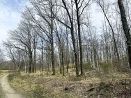 3,1 ha Waldfläche - Hoyerswerda Zentrum