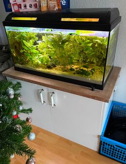 Aquarium mit LED-Beleuchtung und Unterschrank - Ilsenburg (Harz) Zentrum