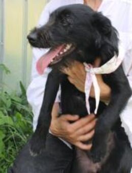 Salome: Energie trifft Schmusebacke - München