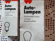 PKW- Lampen für PKW Anhänger 12/24 Volt versiedende Größen Stärken - Hersbruck