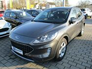 Ford Kuga, 2.0 Ecoblue Hybrid Cool & Connect, Jahr 2020 - Frankenthal (Pfalz)