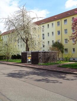 3-Raumwohnung im Erdgeschoss mit Balkon - Braunsbedra
