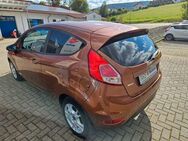 Ford Fiesta Trend - Seitingen-Oberflacht