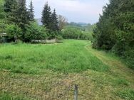 Weide für Pferde. Ist auch alles überwacht - Gudensberg