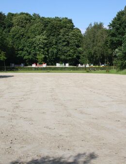 Minijob im Pferdestall - Pferde aufs Paddock bringen etc. KEIN MISTEN - Wallenhorst