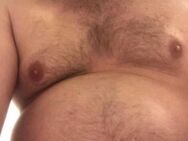 Kuschel Sex wichsen Blasen Chubby Bear Bär - Wesel