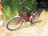Kinderrad "Antilope", Felgengröße 24'', bordeauxrot - Dormagen