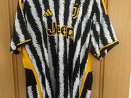 Juventus Turin 2023-24 Heim Trikot mit beflockung (XXL) - Landstuhl (Sickingenstadt)