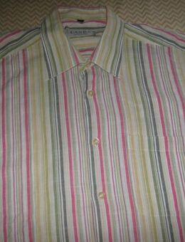 NEU* Klassisches, Streifen * Herren * Kurzarm *  Business * Freizeit * Hemd * 40- 41, 42/ 50- 52/ M- L, bunt * - Riedlingen Zentrum