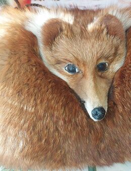 Muff aus Fuchsfell - Berlin