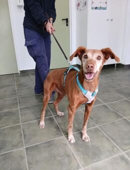 Bebbo ein wahrer Schatz - Berlin