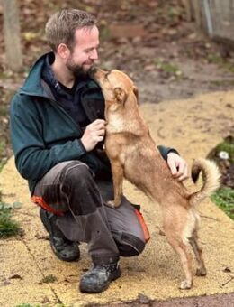Liebe, süße kleine Tabby - Kallmünz