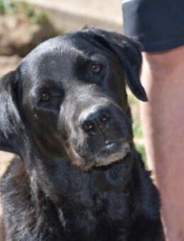 Margot sucht engen Familienanschluss - Neuss