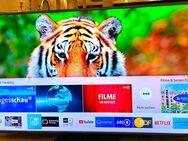 Samsung 65 Zoll QLED TV (163 cm), 4K-UHD - Moritzburg