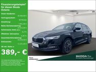 Skoda Octavia, Combi TDI STYLE, Jahr 2024 - Neuss