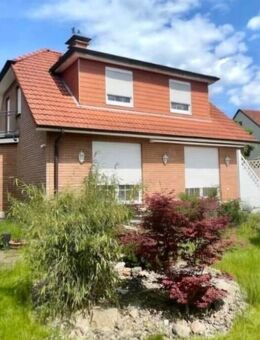 Helles und charmantes Einfamilienhaus in begehrter Lage von Bad Pyrmont - Bad Pyrmont