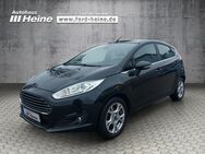 Ford Fiesta, 1.0 EcoBoost Titanium WINTER-P, Jahr 2014 - Marienmünster