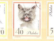 Polnische Briefmarken Katzen (436) - Hamburg