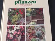 Balkon- und Terrassepflanzen Anbau und Pflege leicht gemacht - Essen