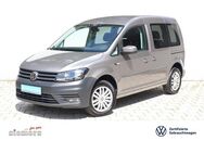 VW Caddy 1,4TSI Trendline DSG BMT AHK Klima - Geesthacht