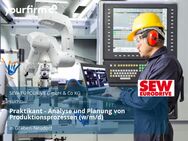 Praktikant - Analyse und Planung von Produktionsprozessen (w/m/d) - Graben-Neudorf