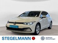 VW Golf, 1.5 TSI VIII Life, Jahr 2023 - Lemgo