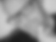 Fec*** - Erfurt