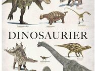 Reinders! Poster Dinosaurier, (1 St)