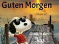 Suche nette Frau -Dame- Freundin für Freizeitgestaltung gemeinsames Leben und Glücklich sein in 67433