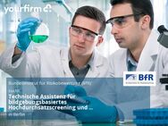 Technische Assistenz für bildgebungsbasiertes Hochdurchsatzscreening und Organoidkulturen (w/m/d) - Berlin