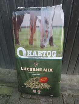 HARTOG LUCERNE-MIX - Hörstel