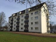 Gemütliche helle 2-Zimmer Wohnung Neumünster - Neumünster