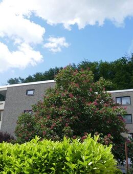 1-Zimmer, Terrasse und Garage! - Wiesbaden