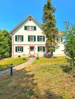 Großzügige, modernisierte Wohnung mit Dachterrasse in Gernsbach - sofort bezugsfrei! - Gernsbach