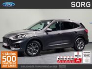 Ford Kuga, 2.5 ST-Line X, Jahr 2021 - Fulda