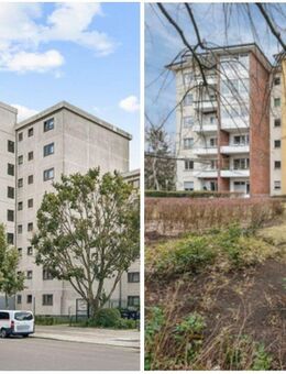 Wohnungspaket bestehend aus zwei Wohnungen 1-Zimmer und 2-Zimmer vermietet in Reinickendorf - Berlin