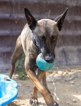 menschenbezogene, aktive GINA - Kallmünz