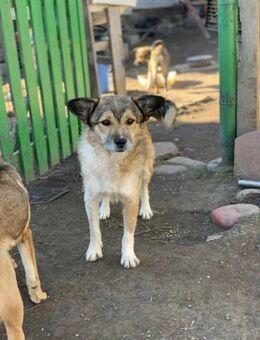 Manila sucht ihre Familie - Celle