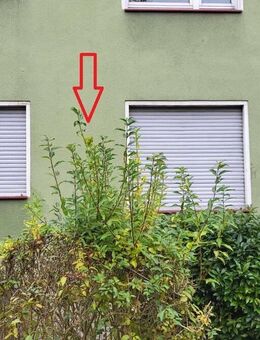 2 Zimmerwohnung in zentraler Lage Hamelns mit Garage! - Hameln