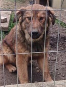 Kenzo bringt Leben ins Haus - München