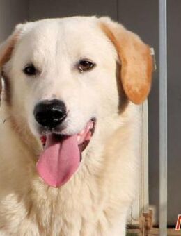 NUC die Geschwister von Noa - Regensburg