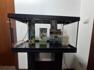 60 l Aquarium mit Unterschrank & Zubehör - Schmidmühlen