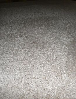 Teppich "Rubin" in beige von Modern Living - Wallgau