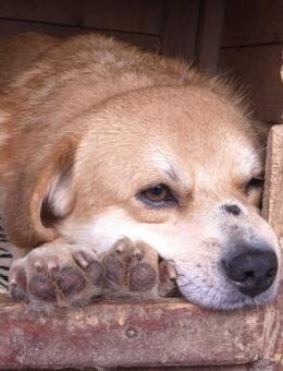 Galileo - liebe menschenbezogene Seele - Velbert