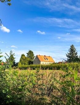 Für Sie und ... Ihre Tiere? - Leutersdorf (Sachsen)