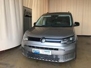 VW Caddy CALIFORNIA MAXI 4MOTION AHK LED STHZG - Berlin