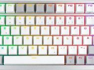Asus ROG Azoth White DE Gaming-Tastatur