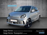 smart EQ forfour, PASSION ALLWETT, Jahr 2021 - Neustadt (Weinstraße)